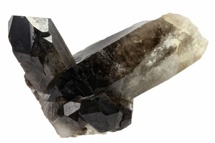Dark Smoky Quartz Crystal Cluster - Brazil #119556